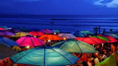 Photo of Bali Holidays: All of the Amazing Things You Must Know