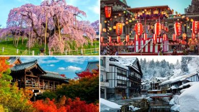 Photo of Why autmn is the perfect season to travel to Japan