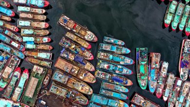 Photo of Ways to Turn a Client Outing into a Deal-Closing Experience